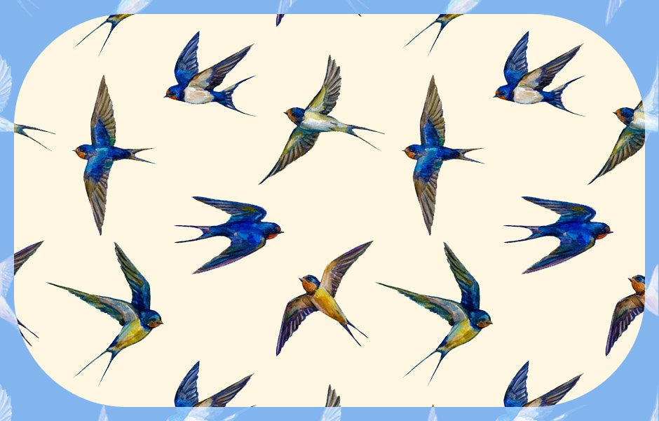 Audiobooks for Bird Lovers