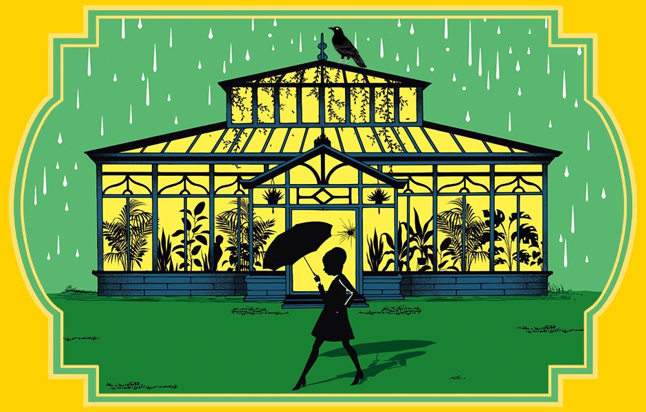 9 Cozy Mystery Audiobooks
