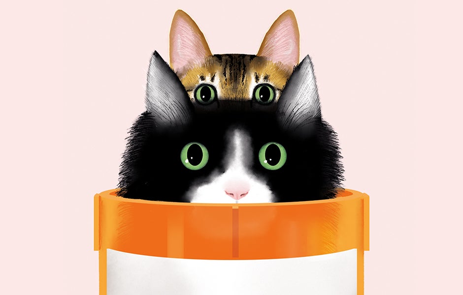 Cozy Translations for Winter